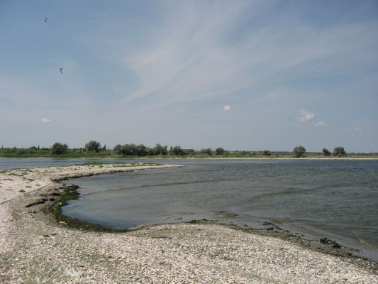 ������� ��� ��������� ���� � ������ ������
 ============== 
