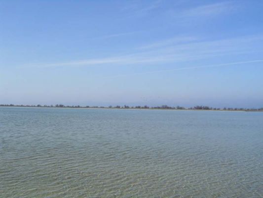 ������� ��� ��������� ���� � ������ ������
 ============== 
