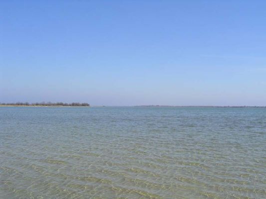 ������� ��� ��������� ���� � ������ ������
 ============== 
