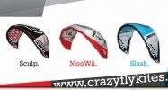 Файл : CF kites 2011.jpg
Размер файла: 57Kб
Размеры : 800x427
Дата добавления : Сен 13, 2010 CF kites 2011.jpg