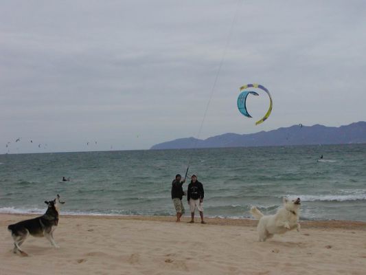       
 ============== 

 : Mexico, la ventana, kite, lesson, baja,