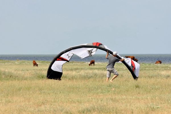 ������� ��� ��������� ���� � ������ ������
 ============== 
