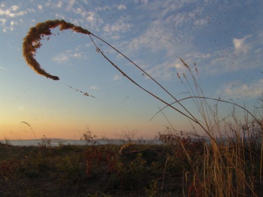 ������� ��� ��������� ���� � ������ ������
 ============== 
 ���������  ( kiteschool.ru )
